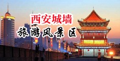 金发荡妇中国陕西-西安城墙旅游风景区